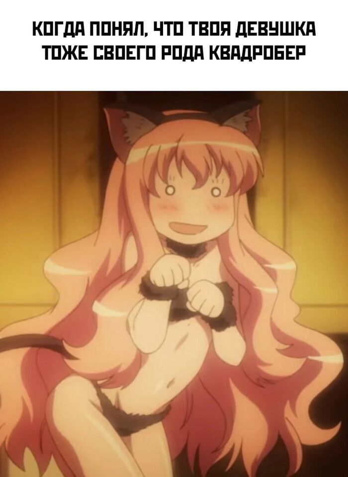 I don't see a single minus - NSFW, Anime, Anime memes, Picture with text, Quad Bearers, Louise Francoise Le Blanc de La Valliere, Zero no tsukaima